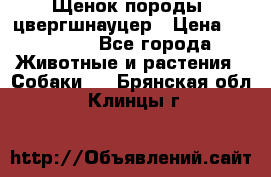 Щенок породы  цвергшнауцер › Цена ­ 30 000 - Все города Животные и растения » Собаки   . Брянская обл.,Клинцы г.